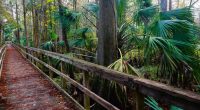 Legislation aimed at protecting Florida state parks stuck in committee