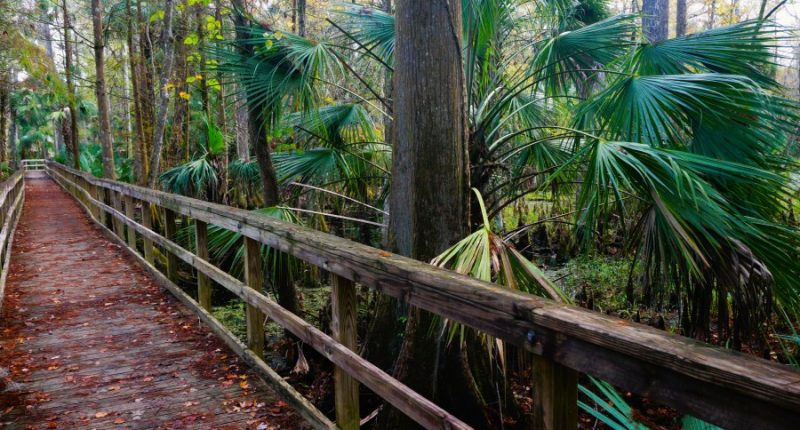 Legislation aimed at protecting Florida state parks stuck in committee