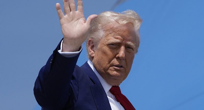 Lindsey Graham backs Trump as next pope after president jokes