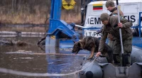 Lithuania deploys dogs in search for final missing US soldier after vehicle sank in swamp