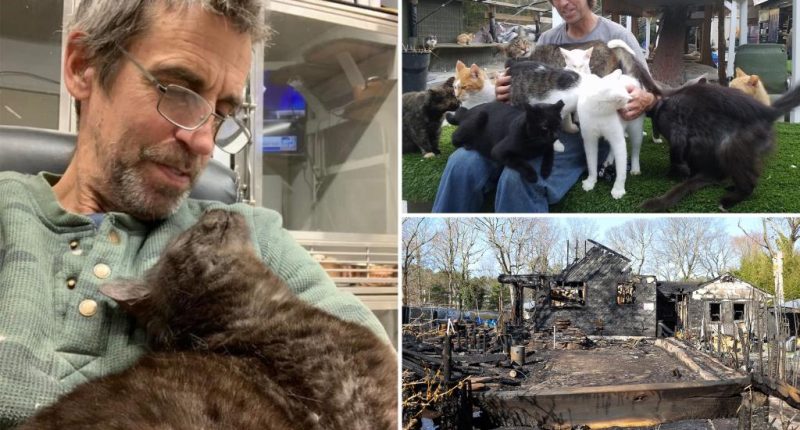 Long Island cat sanctuary owner dead in fire devoted life to animals
