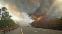 Man charged with arson after authorities say he sparked New Jersey Pine Barrens fire