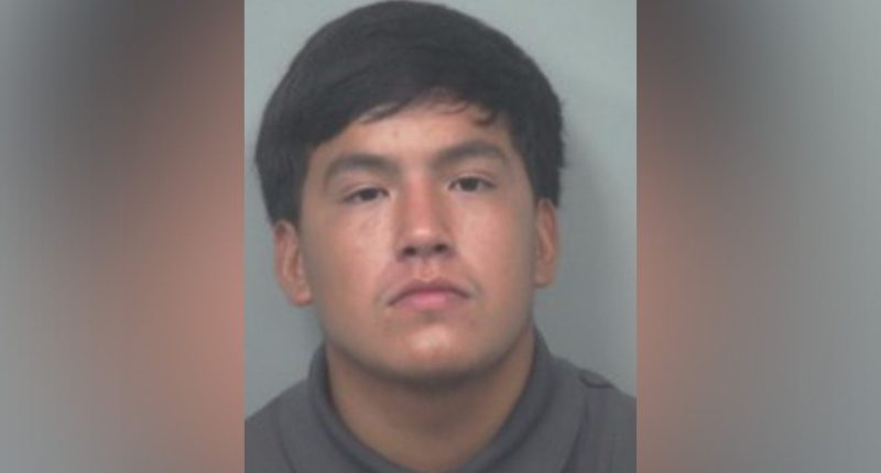 Man suspected of strangling pregnant teen girlfriend to death release on bond for the second time