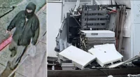 Man wanted for Washington state Tesla Supercharger arson may have 'shrapnel injuries' from explosion: FBI