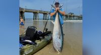 Massive bluefin tuna catches halted at pier after officials step in, manager says