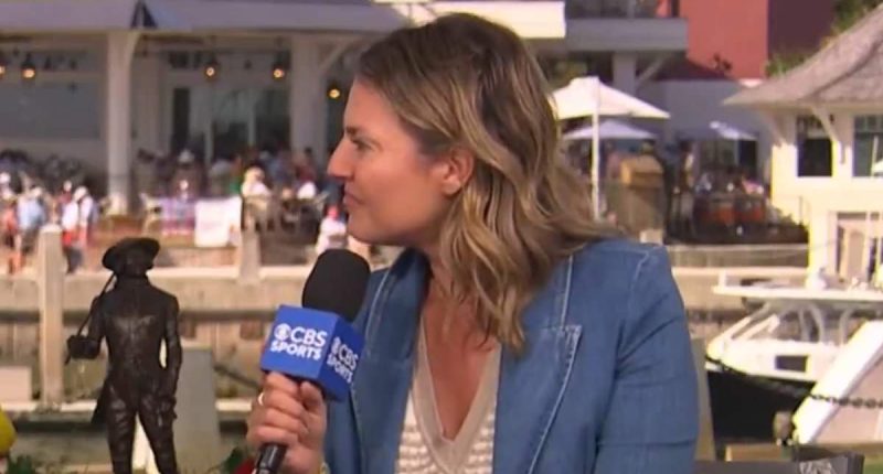 McIlroy's rumoured ex back on TV for first time since his Masters win