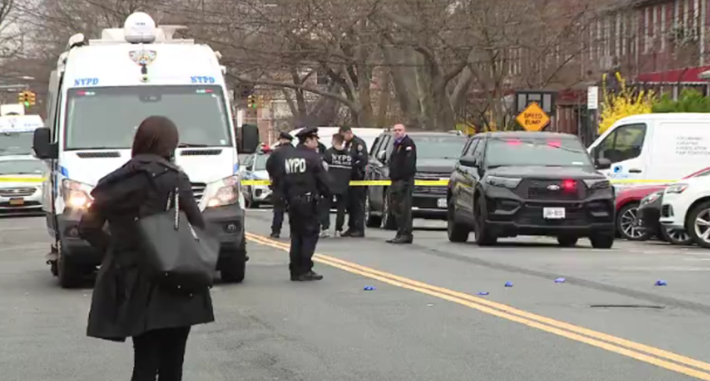 Meat cleaver-wielding man stabs young girls in bloody NYC attack as 11-year-old calls 911: police
