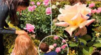 Meghan Markle shares rare pics of Archie, Lilibet in garden after revealing daughter's American accent