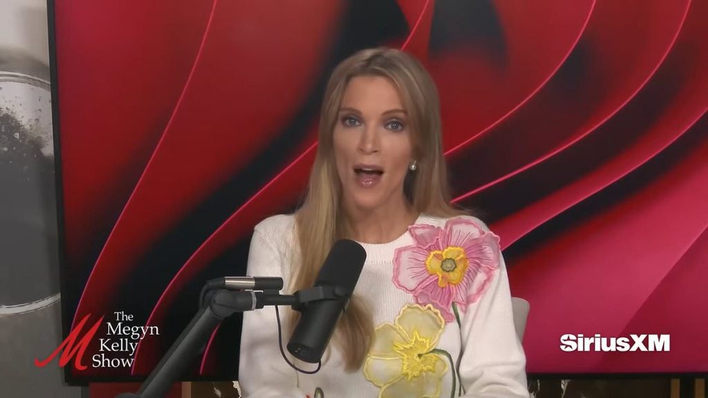 Megyn Kelly dishes brutal analysis on Bill Belichick