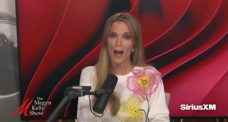 Megyn Kelly dishes brutal analysis on Bill Belichick