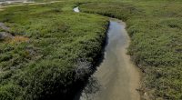 Mexico to dump millions of gallons of sewage into Tijuana River, US continues to be a dumping ground: Official