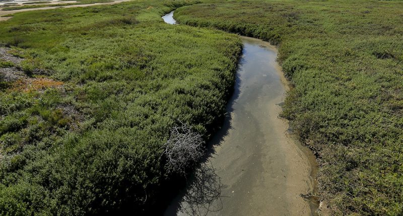 Mexico to dump millions of gallons of sewage into Tijuana River, US continues to be a dumping ground: Official