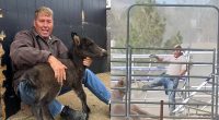 Missing Veterinarian Found Dead in Lake Mead Weeks After He’s Filmed Beating Horse