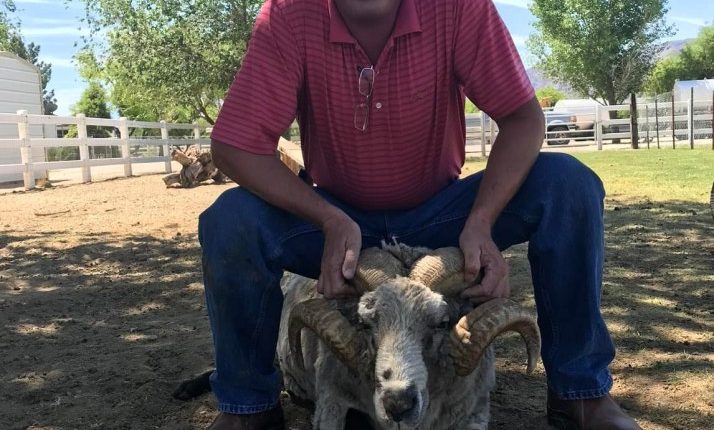 Man squatting next to a ram with large horns.