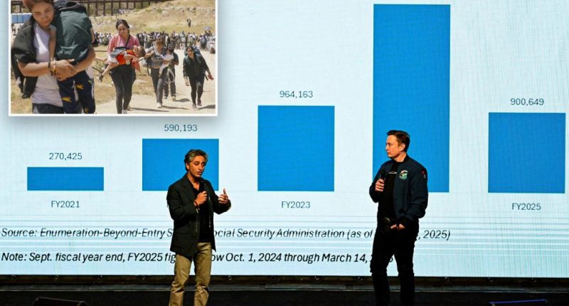Musk shares 'mind blowing' chart showing millions of 'noncitizens' given Social Security numbers under Biden