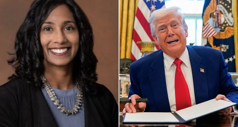 NASA shamed into firing top DEI executive after trying to 'hide' her