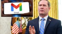 National Security Council confirms Mike Waltz and staff used Gmail for government communication