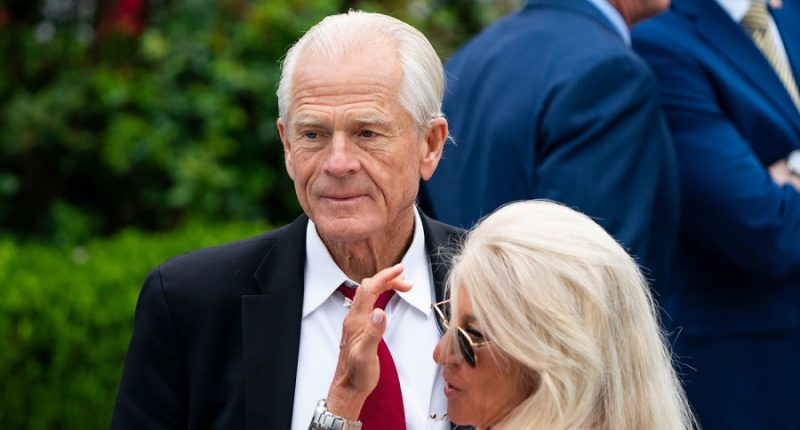 Navarro sidesteps question on tariff pause decision, denies insider trading allegations