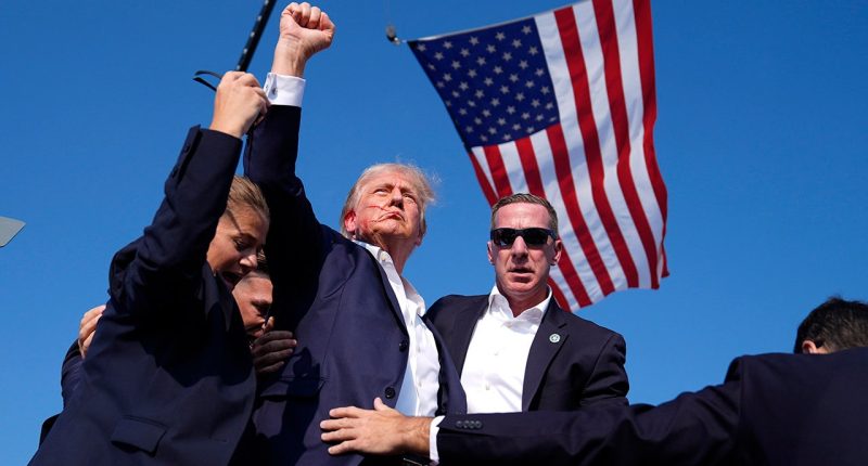 New bombshell study reveals 'assassination culture' spreading on the left under President Trump