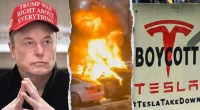 Number of Tesla attacks soars past 50 as violence targeting Musk's company escalates
