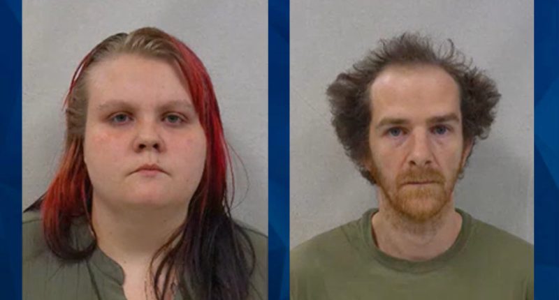 Parents Rubbed Alcohol on Infant’s Gums for a Month Before Child’s Death