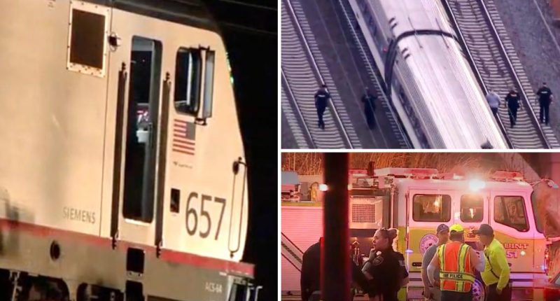Pennsylvania Amtrak train kills three family members: police