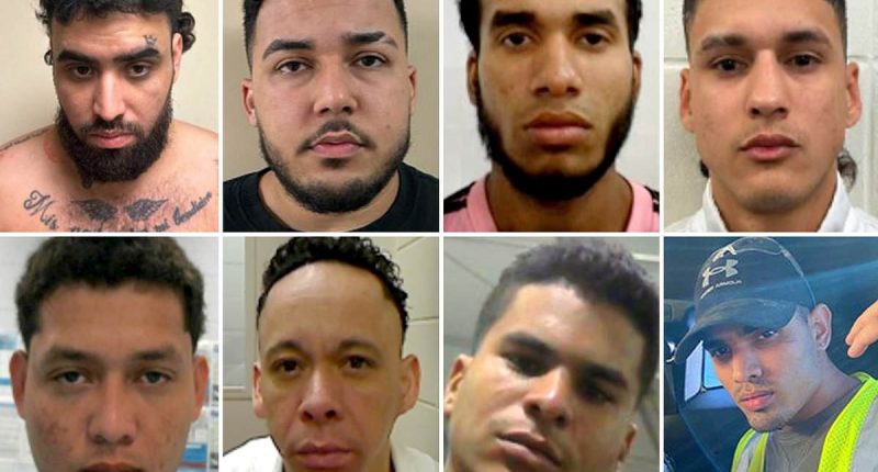 Rap sheets of cartel thugs Trump can't deport due to liberal judges