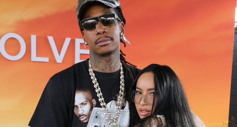 Rapper stuns Coachella fans with disgusting act