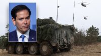 Rubio demands NATO pony up, dismisses 'hysteria' over US role under Trump