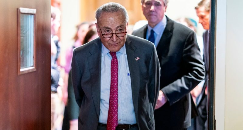 Schumer: El Salvador refusal to return mistakenly deported man 'pure nonsense' 