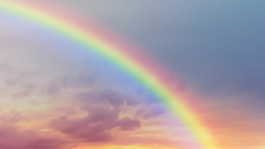 Scientists reveal purple doesn't actually exist