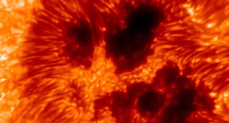 Scientists reveal the most detailed photo of the sun yet