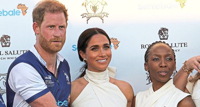 Sentebale volunteers say Harry 'lost interest after marrying Meghan'