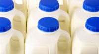 Close-up of several milk containers with blue caps.