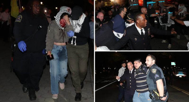 Six arrested after anti-Israel protesters clash with Hasidic Jews outside Brooklyn synagogue where Israeli official was visiting