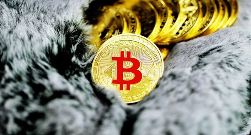 Smart Contracts’ Increasing Role in Bitcoin Investment Opportunities