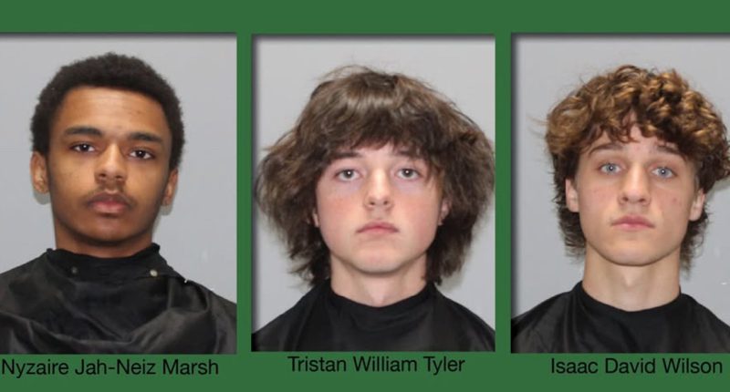 South Carolina arrests 3 young men for allegedly starting wildfire after failing to extinguish cigarettes
