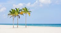 Spring break crime plummeted in Florida hot spot after warning goes viral