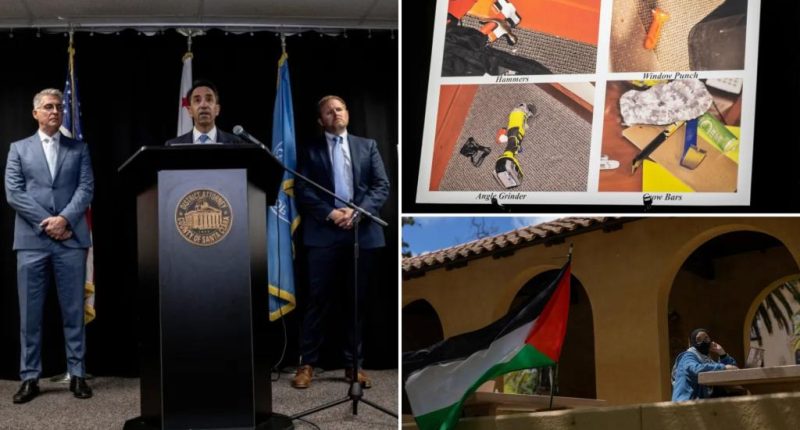 Stanford University protesters charged with felonies after occupying campus building