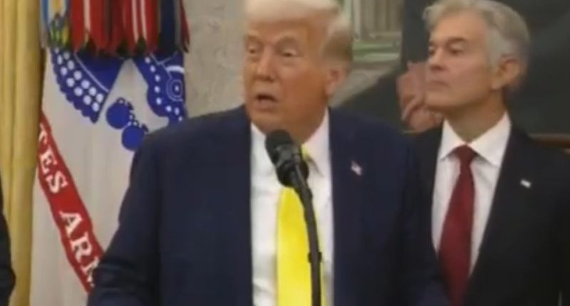 Donald Trump speaking at a press conference.