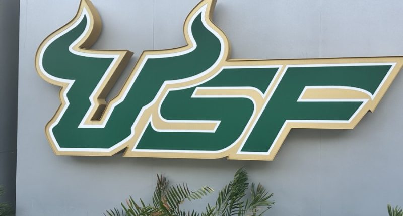 Students find empty 9mm cartridge in USF parking lot