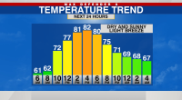Sunny skies and warming temps this week in Tampa Bay