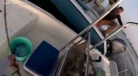 Tampa Bay restaurant offers gift to fisherman berated by charter captain