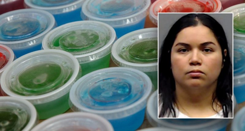 Texas mom arrested for allegedly bringing vodka-spiked Jell-O shots to fifth grade school party