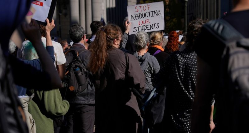 The Gavel: How Trump is targeting international students 