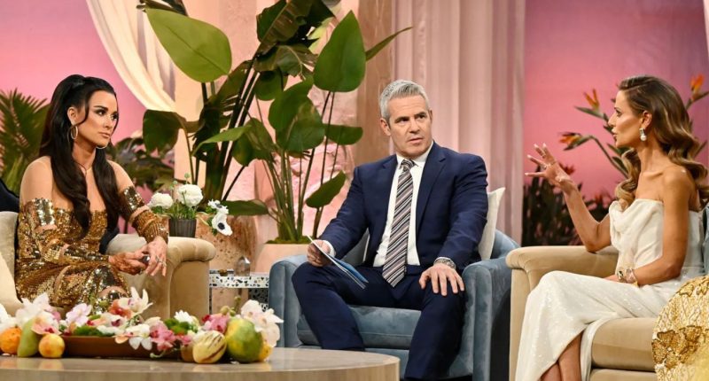 The Real Housewives of Beverly Hills: Reunion Part 2 Recap