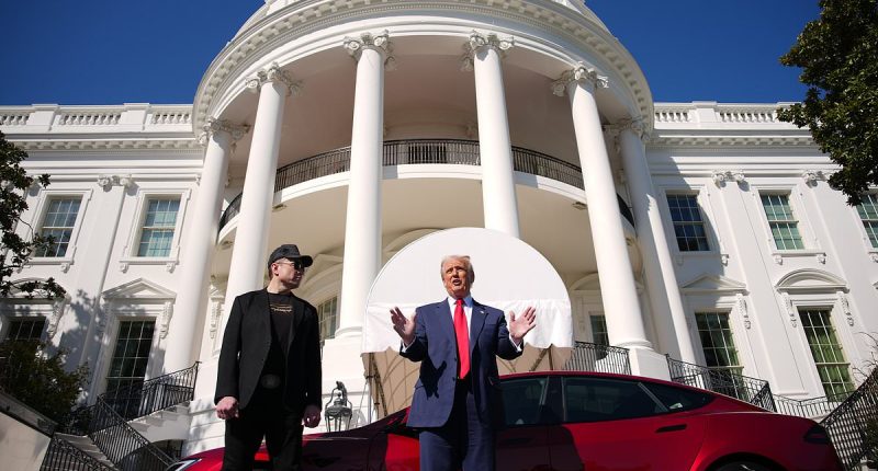 The signs Elon Musk was on brink of stepping down from DOGE