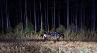 Wrecked car in a wooded area at night.