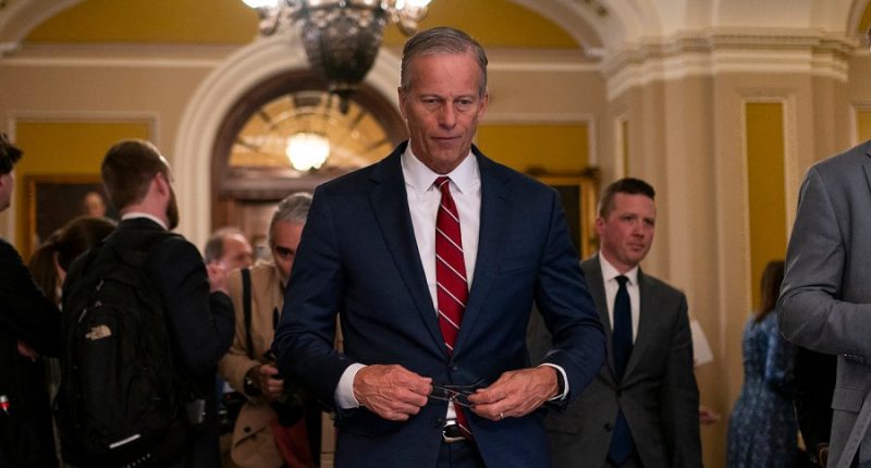 Thune faces GOP divisions on critical budget resolution