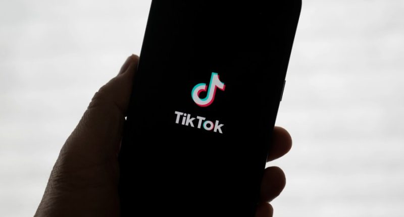TikTok deal pulled after Trump tariff announcement